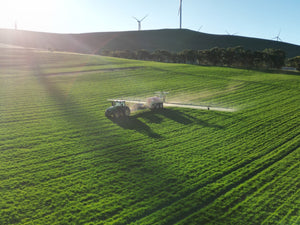 Where does our wool come from?