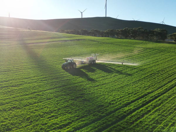 Where does our wool come from?